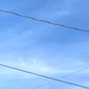 Meet your Posher, Sophia